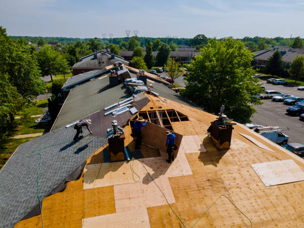 24/7 Emergency Roof Replacement experts in Starbuck, MN